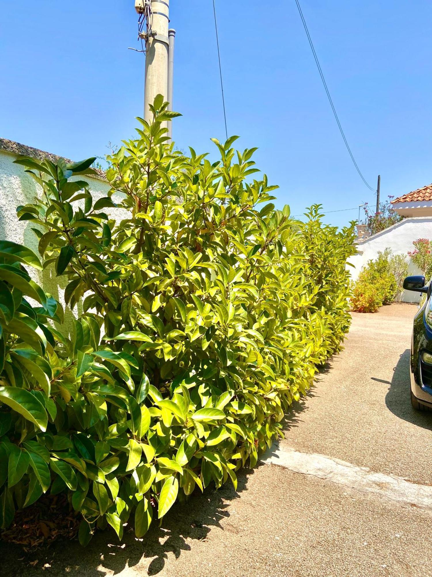 B&B Costa Azzurra Porto Cesareo Ngoại thất bức ảnh